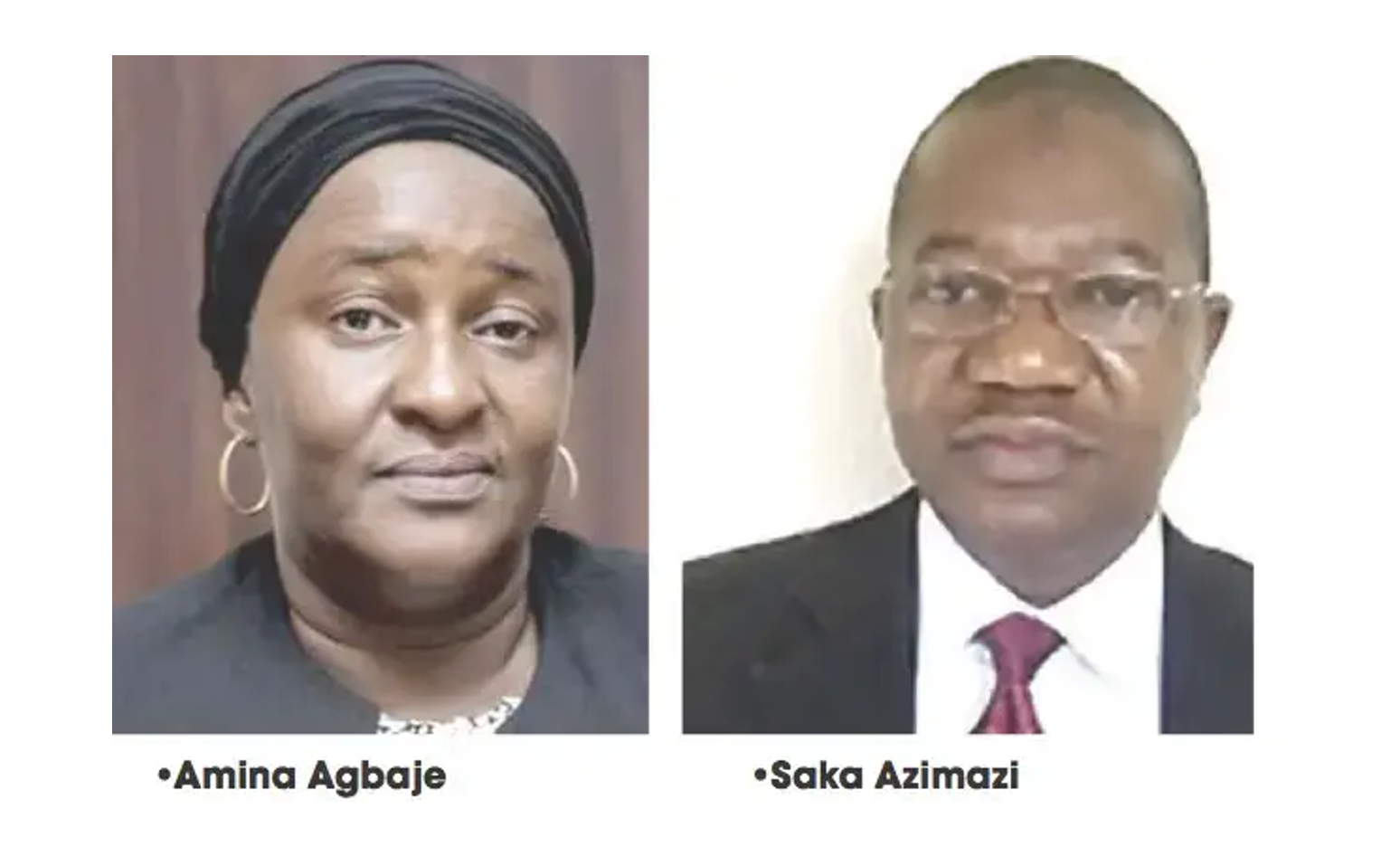 Gender equality and governance: role of women in Nigerian politics ...
