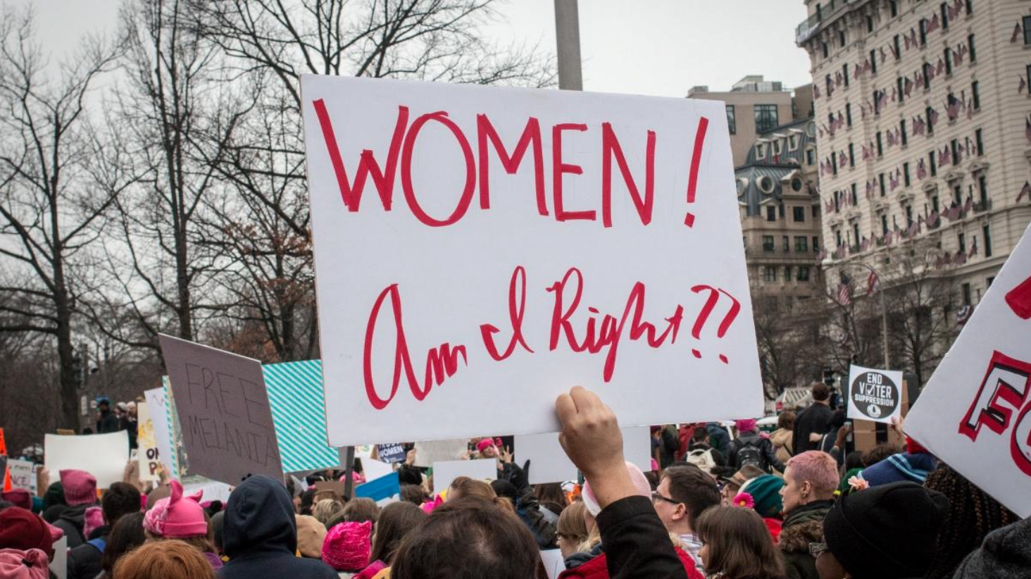 Democratic Gender How does democratic backsliding affect gender equality? | International ...