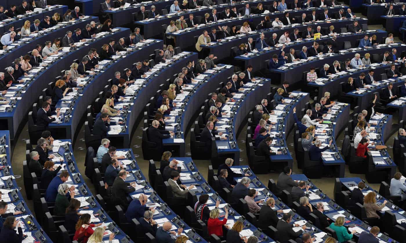 European parliament elections 2024. Бешеный парламент. Бешеный парламент Окс.