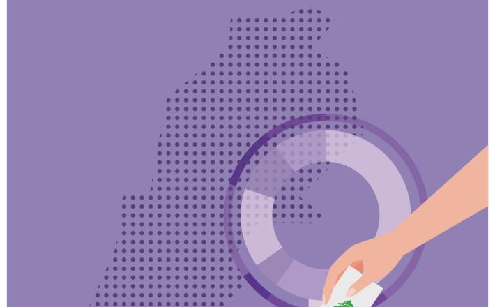 مراقبة الانتخابات البلدية والاختيارية من منظور جندري