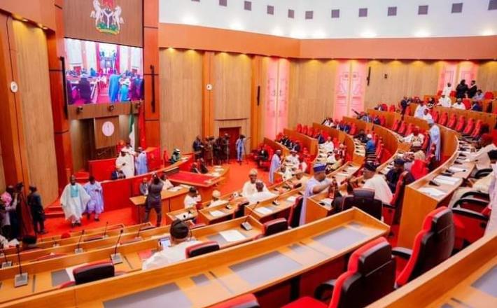https://healthwise.punchng.com/2027-women-may-occupy-only-2-7-of-senate-seats-coalition-warns/