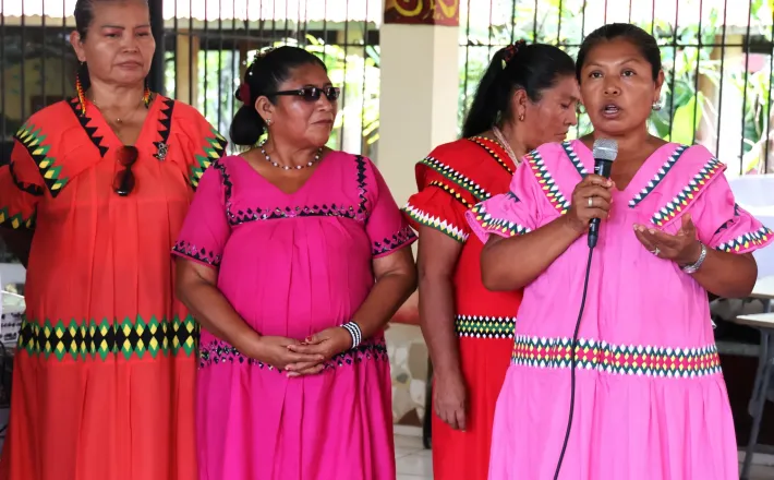 https://www.idea.int/news/political-participation-indigenous-women-pending-debt-panamanian-democracy