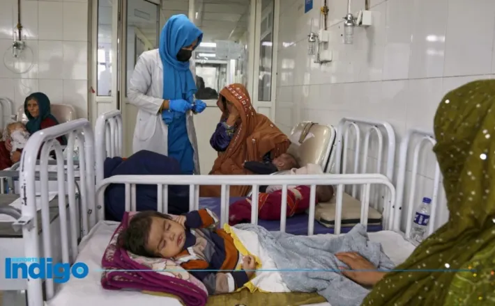 https://www.reporteindigo.com/internacional/marginadas--nuevo-reporte-de-la-onu-revela-la-situacion-de-las-mujeres-en-afganistan-20260812-0074.html
