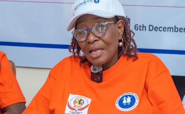 https://peacenews.com/womens-political-participation-a-path-to-violence-free-elections-in-nigeria/