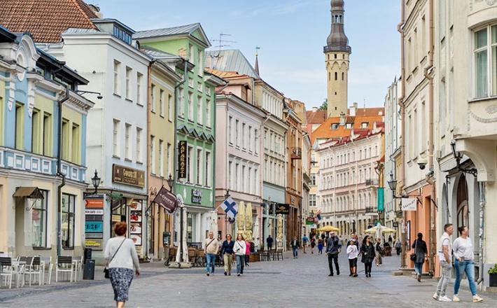 https://www.coe.int/fr/web/portal/-/despite-progress-stronger-action-is-needed-to-address-online-violence-against-women-in-estonia