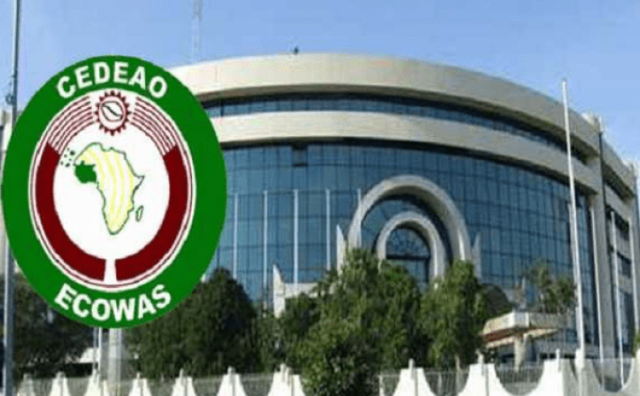 https://businessday.ng/news/article/ecowas-moves-to-bridge-gender-gap-in-west-african-politics-targets-30-female-representation/