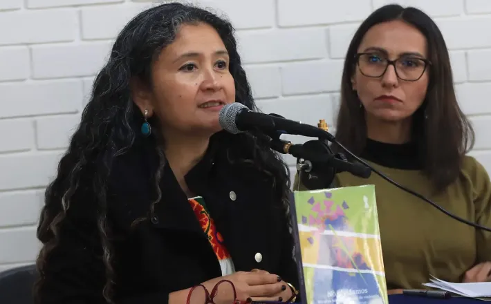 https://oem.com.mx/diariodexalapa/local/feministas-exponen-la-estructura-politica-y-partidista-que-aleja-a-las-mujeres-de-la-politica-25009221