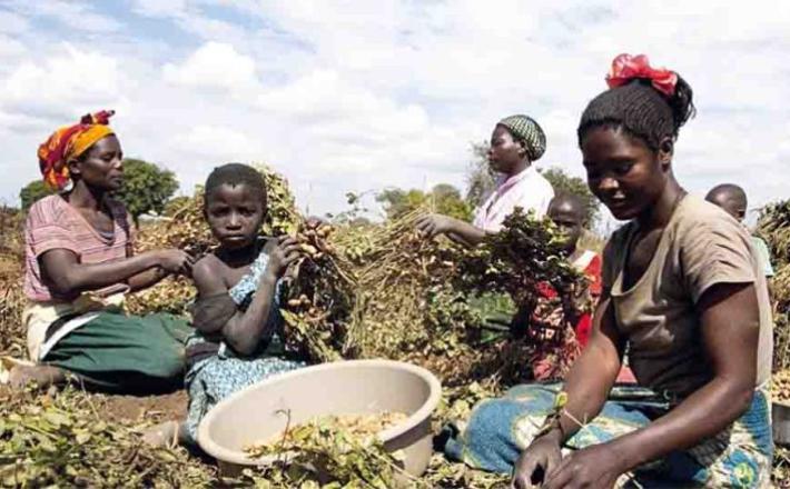 تقرير جديد لعام 2025 يكشف: أفريقيا جنوب الصحراء تتفوق على المغرب العربي في مجالات تمكين المرأة