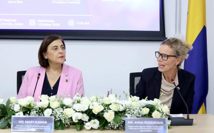 برنامج الأمم المتحدة الإنمائي و"سيدا" يطلقان المرحلة الثالثة من مبادرة "أسباير" لتعزيز المشاركة الشاملة في الانتخابات بالدول العربية