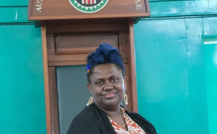 https://www.rnz.co.nz/international/pacific-news/573844/bougainville-election-prominent-female-candidate-theonila-roka-matbob-loses-seat