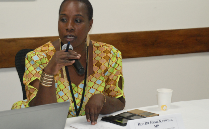 Dr. Jessie Kabwila | International Knowledge Network of Women in Politics