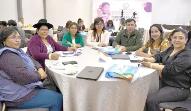 https://www.opinion.com.bo/articulo/cochabamba/barreras-aun-frenan-participacion-femenina-gobiernos-locales/20250916000032980001.html