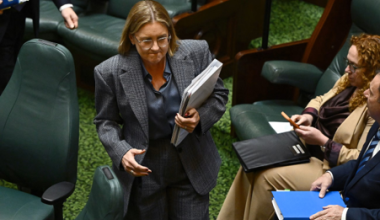https://www.theguardian.com/commentisfree/2026/jun/09/australia-politics-female-mp-misogyny-sexist-abuse-every-day