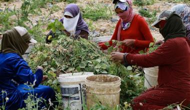 المفاهيم التقليدية تتحكم في مهنة النساء في الأردن، 20 إبريل 2021 (خليل مزرعاوي/ فرانس برس)