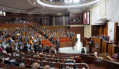 https://lematin.ma/nation/elections-linvestiture-des-femmes-est-elle-monnayable-ladfm-sinsurge/363199