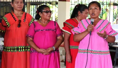 https://www.idea.int/news/political-participation-indigenous-women-pending-debt-panamanian-democracy