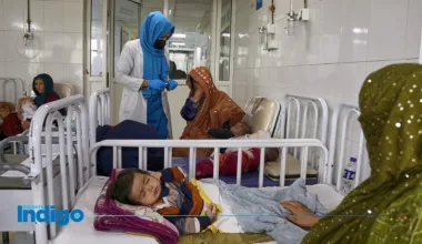 https://www.reporteindigo.com/internacional/marginadas--nuevo-reporte-de-la-onu-revela-la-situacion-de-las-mujeres-en-afganistan-20260812-0074.html