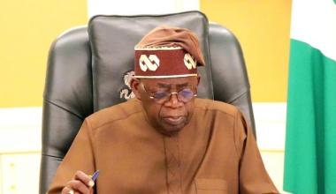 https://guardian.ng/opinion/participation-and-representation-the-quest-to-deepen-nigerias-democracy/