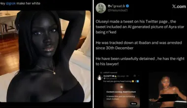 https://globalvoices.org/2026/04/10/when-technology-fails-women-online-abuse-and-nigerias-digital-weak-points/