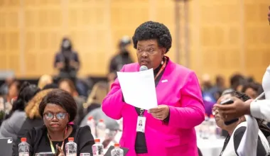 https://peopledaily.digital/inside-politics/women-mps-cite-violence-campaign-costs-as-barriers-to-political-leadership