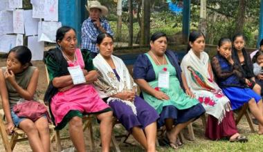 https://www.chiapasparalelo.com/opinion/2025/09/matriz-de-opresiones-a-mujeres-indigenas-en-el-altiplano-chiapaneco-que-impide-la-participacion-politica-y-la-paridad-sustantivai/