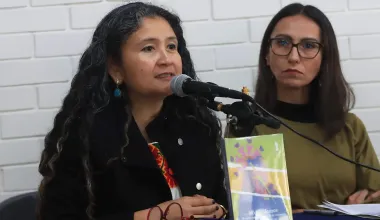 https://oem.com.mx/diariodexalapa/local/feministas-exponen-la-estructura-politica-y-partidista-que-aleja-a-las-mujeres-de-la-politica-25009221