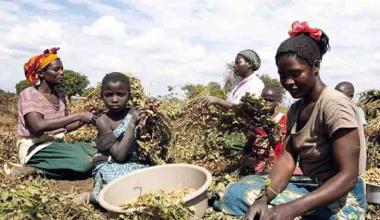 تقرير جديد لعام 2025 يكشف: أفريقيا جنوب الصحراء تتفوق على المغرب العربي في مجالات تمكين المرأة