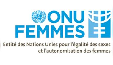 هيئة الأمم المتحدة للمرأة بتونس: الإعلامية والتكنولوجيا يجذبان 70 % من مجموع الفتيات الناشطات