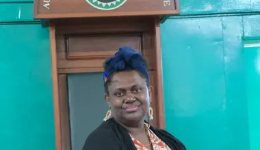 https://www.rnz.co.nz/international/pacific-news/573844/bougainville-election-prominent-female-candidate-theonila-roka-matbob-loses-seat
