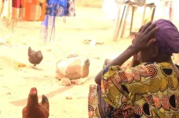 https://globalvoices.org/2026/08/16/escalation-of-sexual-violence-raises-alarm-in-the-democratic-republic-of-the-congo/