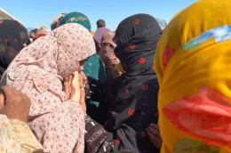 https://www.fmbharat.com/en/world/only-two-per-cent-of-women-own-land-alone-or-jointly-in-pakistan-report