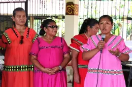 https://www.laestrella.com.pa/opinion/columnistas/la-participacion-politica-de-las-mujeres-indigenas-una-deuda-pendiente-de-la-democracia-panamena-EF24744880