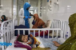 https://www.reporteindigo.com/internacional/marginadas--nuevo-reporte-de-la-onu-revela-la-situacion-de-las-mujeres-en-afganistan-20260812-0074.html