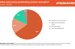 https://www.afrobarometer.org/publication/ad1152-comorian-women-face-barriers-to-equality-in-education-employment-and-politics/