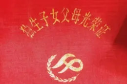 https://globalvoices.org/2026/06/06/the-daughters-who-were-raised-to-be-everything-under-chinas-one-child-policy/