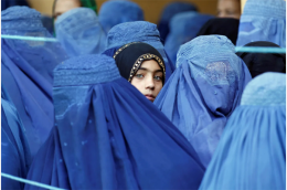 https://www.pressegauche.org/A-La-crise-des-droits-des-femmes-en-Afghanistan-est-une-catastrophe-humanitaire