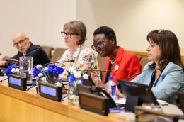 https://www.ipu.org/news/news-in-brief/2026-07/parliamentarians-call-renewed-sdg-push-2030-deadline-looms