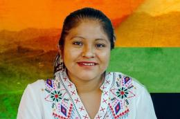 https://ahora.com.pe/politica/la-violencia-politica-hacia-las-mujeres-es-un-obstaculo-para-la-democracia-paritaria