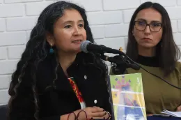 https://oem.com.mx/diariodexalapa/local/feministas-exponen-la-estructura-politica-y-partidista-que-aleja-a-las-mujeres-de-la-politica-25009221