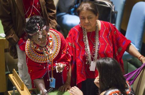 ONU Foto/Rick Bajornas
