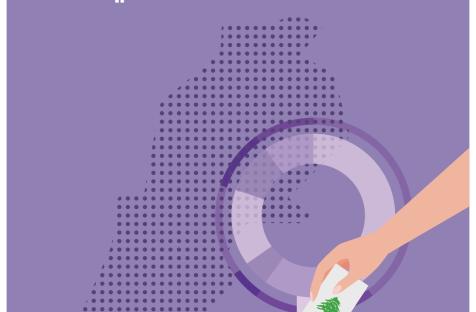 مراقبة الانتخابات البلدية والاختيارية من منظور جندري