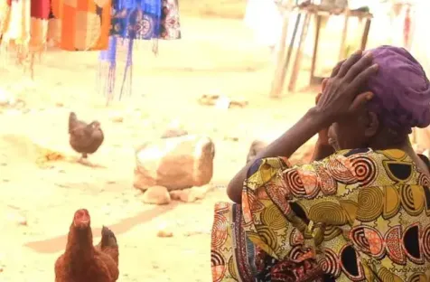 https://globalvoices.org/2026/08/16/escalation-of-sexual-violence-raises-alarm-in-the-democratic-republic-of-the-congo/