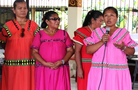 https://www.idea.int/news/political-participation-indigenous-women-pending-debt-panamanian-democracy