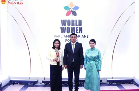 https://www.vietnam.vn/en/doan-dai-bieu-quoc-hoi-viet-nam-tham-du-dien-dan-nu-nghi-si-the-gioi-tai-mong-co