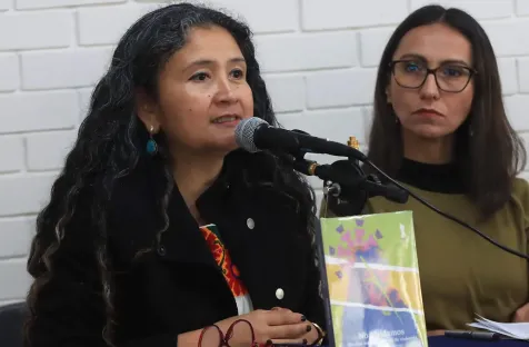 https://oem.com.mx/diariodexalapa/local/feministas-exponen-la-estructura-politica-y-partidista-que-aleja-a-las-mujeres-de-la-politica-25009221