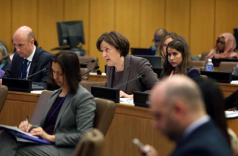 Inez Murray, CEO, Global Banking Alliance for Women, addresses the Joint Side Event: "Transformative financing for gender equality and women’s empowerment: Expectations from the Financing for Development process." Photo: Ryan Brown/UN Women 