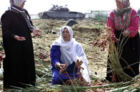 Women in Palestine