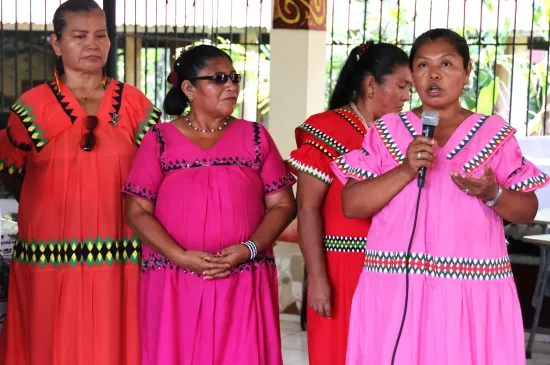 https://www.idea.int/news/political-participation-indigenous-women-pending-debt-panamanian-democracy
