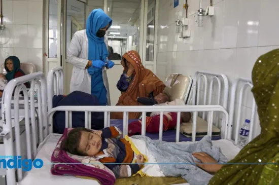 https://www.reporteindigo.com/internacional/marginadas--nuevo-reporte-de-la-onu-revela-la-situacion-de-las-mujeres-en-afganistan-20260812-0074.html