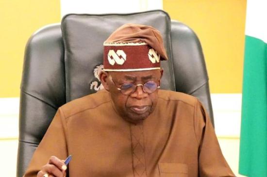 https://guardian.ng/opinion/participation-and-representation-the-quest-to-deepen-nigerias-democracy/